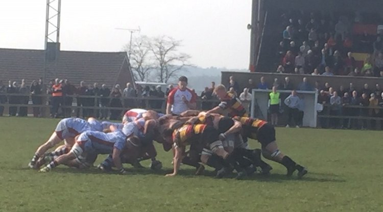 cinderford-36-titans-19